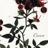 Cocco - Album Sangrose