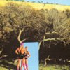 http://s.mxmcdn.net/images-storage/albums/3/0/6/0/1/6/11610603.jpg