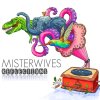 MisterWives - Album Reflections