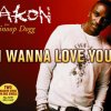 Akon feat. Snoop - Album I Wanna Love You