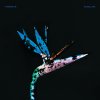 Pompeya - Album Satellite