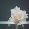 http://s.mxmcdn.net/images-storage/albums/3/2/4/4/8/4/11484423.jpg