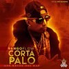 Ñengo Flow - Album Corta y Palo