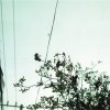http://s.mxmcdn.net/images-storage/albums/3/2/5/5/3/9/26935523.jpg