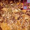 http://s.mxmcdn.net/images-storage/albums/3/2/6/3/6/8/11863623.jpg
