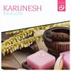 Karunesh - Album Yoga Love