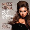 Mizz Nina feat. Colby O'Donis - Album What You Waiting For