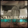 Collie Buddz - Album Won't Be Long
