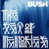 http://s.mxmcdn.net/images-storage/albums/3/3/5/4/8/3/27384533.jpg