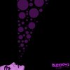Blossoms - Album At Most a Kiss