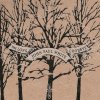 John Paul White - Album The Long Goodbye