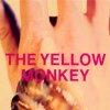 THE YELLOW MONKEY - Album Romantist Taste