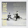 Until June - Album Young & Foolish