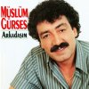 http://s.mxmcdn.net/images-storage/albums/3/4/9/9/1/3/27319943.jpg