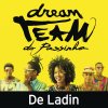 Dream Team do Passinho - Album De Ladin