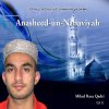 Milad Raza Qadri - Album Anasheed-un-Nabaviyah