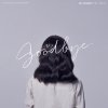 SIN - Album Goodbye