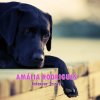 Amália Rodrigues - Album Interior Triste