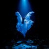 http://s.mxmcdn.net/images-storage/albums/3/8/0/3/3/8/30833083.jpg