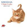 Megha - Album Clean Licks