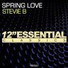 Stevie B - Album Spring Love