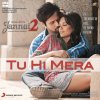 Shafqat Amanat Ali - Album Tu Hi Mera