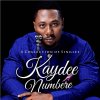 Kaydee Numbere - Album A Collection of Singles