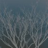 Rico Blanco - Album 214