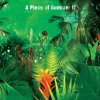 陳綺貞 - Album A Piece of Summer II 夏季練習曲世界巡迴現場錄音
