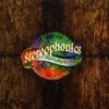 Stereophonics - Album Step on My Old Size Nines