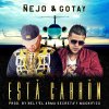 Ñejo & Gotay - Album Esta Cabrón