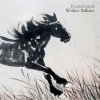 Wilder Adkins - Album Runaround