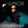 L.L. Junior - Album Önmegvalósulás