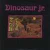 Dinosaur Jr. - Album Little Fury Things