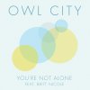Owl City feat. Britt Nicole - Album You're Not Alone