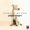 Playmen - Album Stand by Me Now