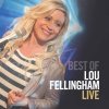 Lou Fellingham - Album The Best of Lou Fellingham (Live)