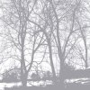 http://s.mxmcdn.net/images-storage/albums/4/2/0/4/6/9/26964024.jpg