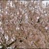 http://s.mxmcdn.net/images-storage/albums/4/2/4/3/1/4/27413424.jpg