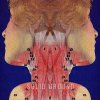 Alex Vargas - Album Solid Ground