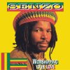 Senzo - Album Worshipping Your Love