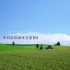 http://s.mxmcdn.net/images-storage/albums/4/3/1/6/4/6/27646134.jpg