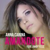 Anna Carina feat. Jandy Feliz - Album Amándote