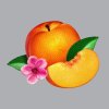 http://s.mxmcdn.net/images-storage/albums/4/3/4/7/9/7/26797434.jpg