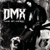 DMX - Album We in Here
