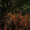 http://s.mxmcdn.net/images-storage/albums/4/3/6/9/0/3/27309634.jpg