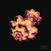 Robots Don't Sleep - Album Robots Don't Sleep