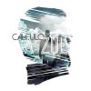 Cálculo - Album A Zul