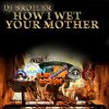 DJ Broiler - Album How I Wet Your Mother