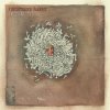 Frightened Rabbit - Album I Feel Better